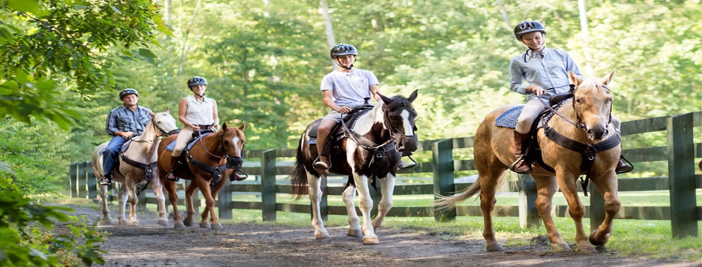 Image for Horse Riding